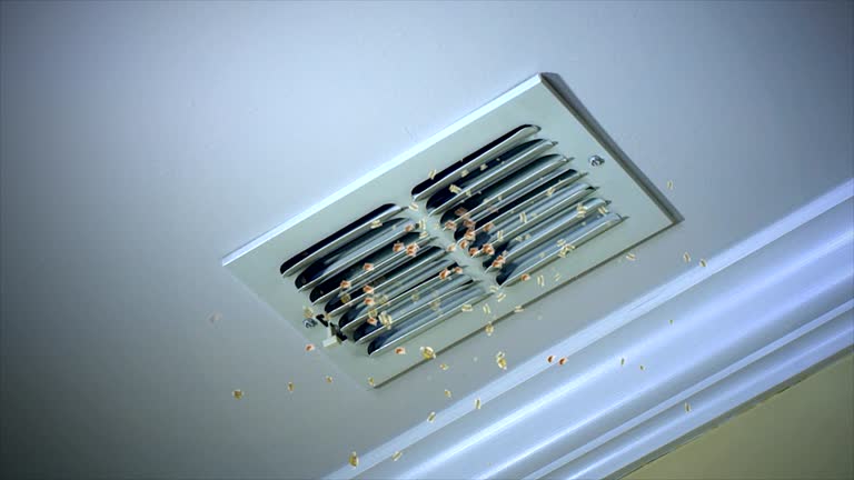 Best Air Vent Cleaning Services  in Roosevelt, NJ