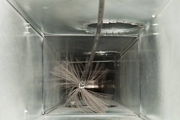 Best Dryer Vent Cleaning Services  in Roosevelt, NJ