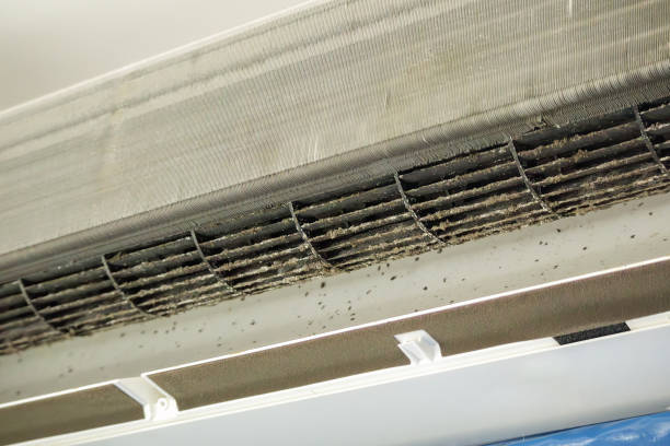 Best HVAC Duct Inspection Services  in Roosevelt, NJ