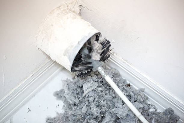 Best Home Air Vent Cleaning  in Roosevelt, NJ